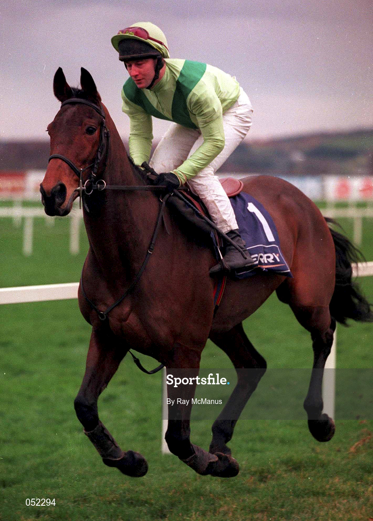 26 December 2000; Alcapone, with David Casey up, goes to post prior to the Denny Gold Medal Novice Steeplechase on Day One of the Leopardstown Christmas Festival at Leopardstown Racecourse in Dublin. Photo by Ray McManus/Sportsfile