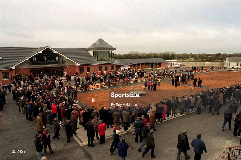 16 January 2000; The parade ring pictured at Fairyhouse Racecourse in Meath. Photo by Ray McManus/Sportsfile