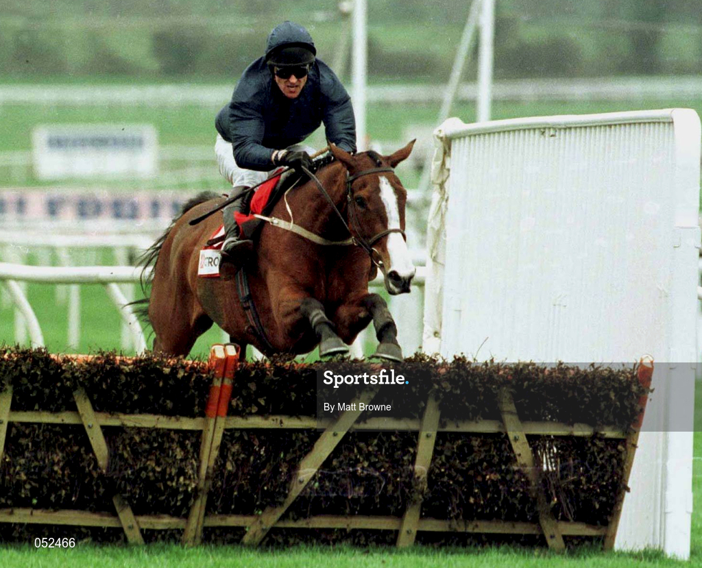 17 March 1998; French Ballerina, with Graham Bradley up, jumps the last on their way to winning The Citrone Supreme Novices' Hurdle on St Patrick's Day of the Cheltenham Racing Festival at Prestbury Park in Cheltenham, England. Photo by Matt Browne/Sportsfile