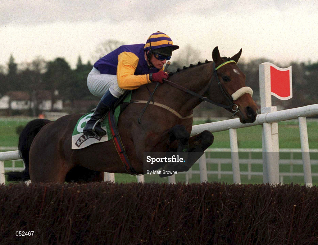23 January 2000; Frozen Groom, with Paul Carberry up, jumps the last on their way to winning the Baileys Arkle Perpetual Challenge Cup at Leopardstown Racecourse in Dublin. Photo by Matt Browne/Sportsfile