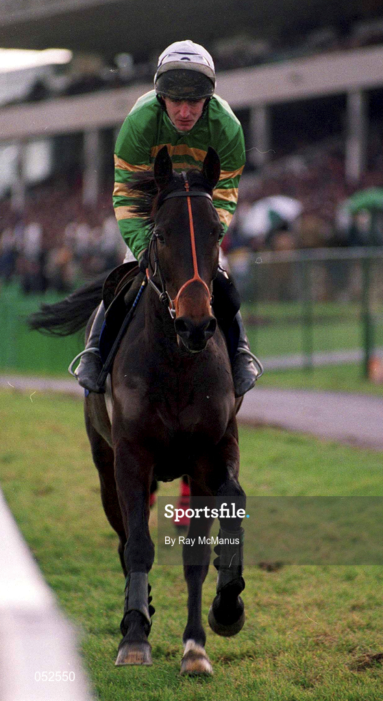 26 December 1999; Go Roger Go, with Norman Williamson up, go to post prior to the Denny Gold Medal Novice Steeplechase on Day One of the Leopardstown Christmas Festival at Leopardstown Racecourse in Dublin. Photo by Ray McManus/Sportsfile