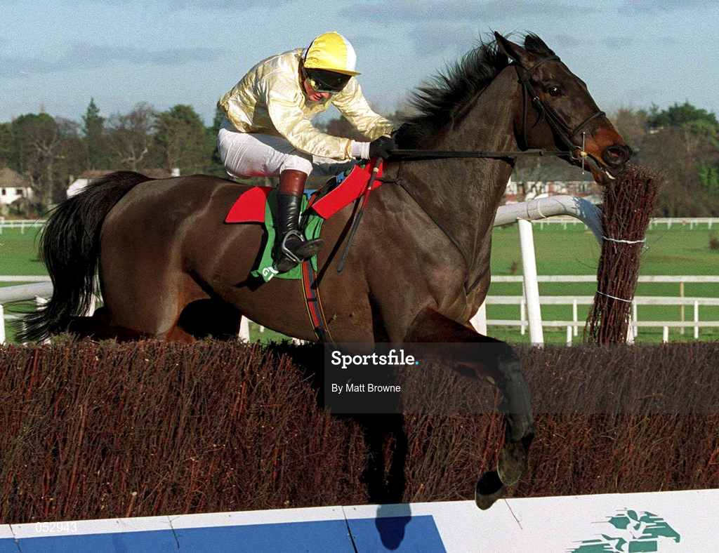 23 January 2000; Merry Gale, with Paul Moloney up, jumps the last on their way to finishing fourth in the BAX Global Handicap Steeplechase at Leopardstown Racecourse in Dublin. Photo by Matt Browne/Sportsfile