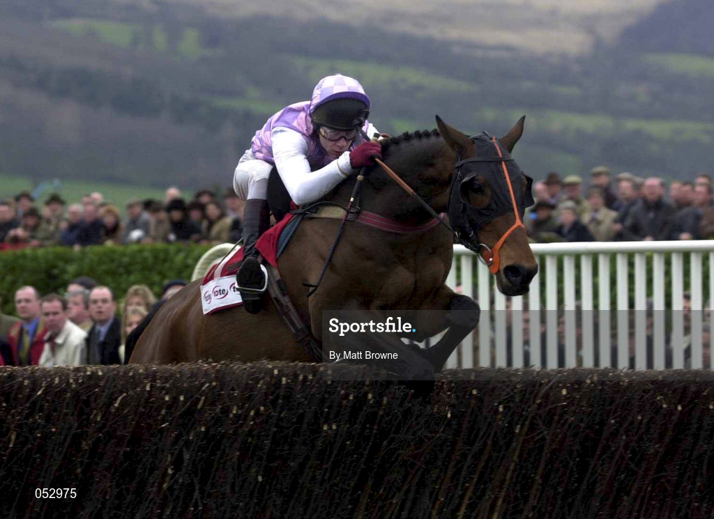 16 March 2000; See More Business, with Mick Fitzgerald up, jumps the last, first time round, during the Tote Cheltenham Gold Cup Chase Showcase Race on Day Three of the Cheltenham Racing Festival at Prestbury Park in Cheltenham, England. Photo by Matt Browne/Sportsfile
