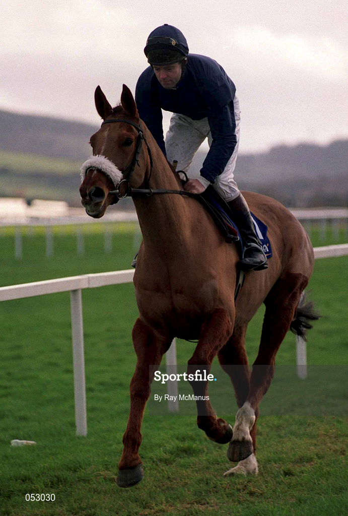 26 December 1999; Native Upmanship, with Conor O'Dwyer up, goes to post prior to the Denny Gold Medal Novice Steeplechase on Day One of the Leopardstown Christmas Festival at Leopardstown Racecourse in Dublin. Photo by Ray McManus/Sportsfile