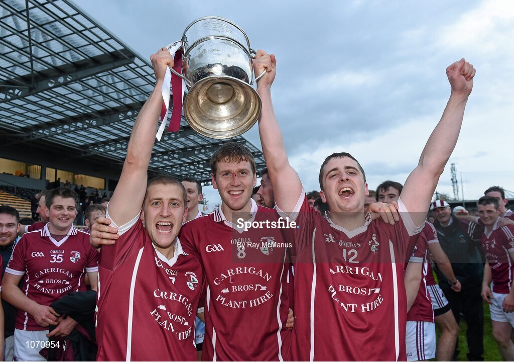 25 October 2015; Brothers Tom Ryan, left, Lester Ryan and Liam Ryan celebrate with the cup after the game. St. Canice's Credit Union Kilkenny County Senior Hurling Championship Final, Clara v O'Loughlin Gaels. Nowlan Park, Kilkenny. Picture credit: Ray McManus / SPORTSFILE