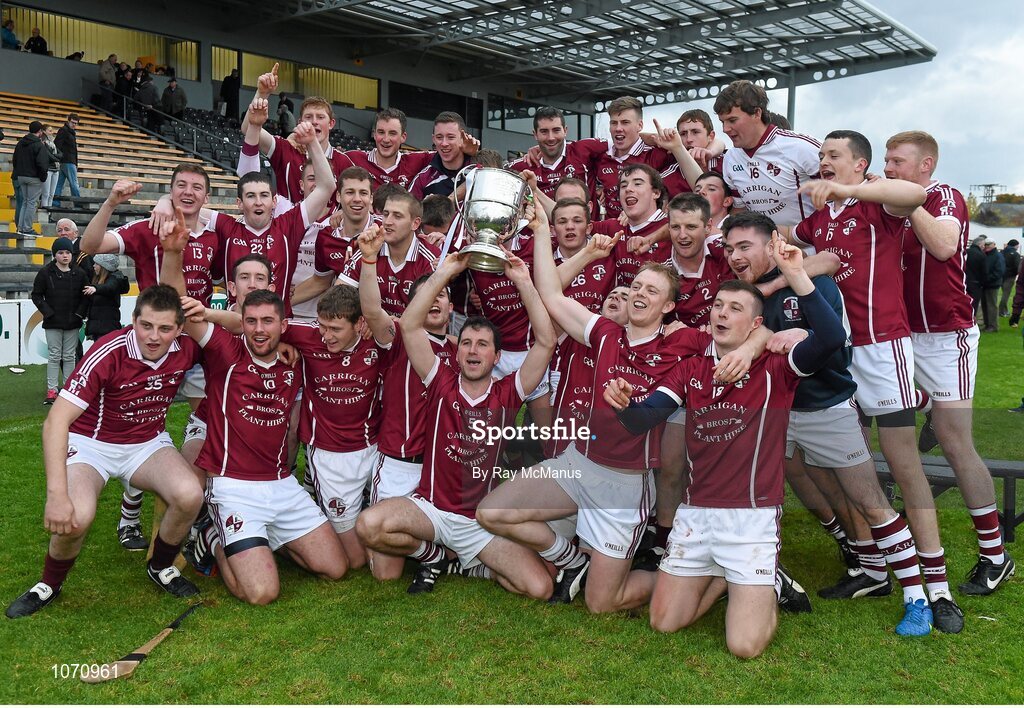 25 October 2015; The Clara captain Keith Hogan, 11, and members of the squad celebrate with the cup after the game. St. Canice's Credit Union Kilkenny County Senior Hurling Championship Final, Clara v O'Loughlin Gaels. Nowlan Park, Kilkenny. Picture credit: Ray McManus / SPORTSFILE