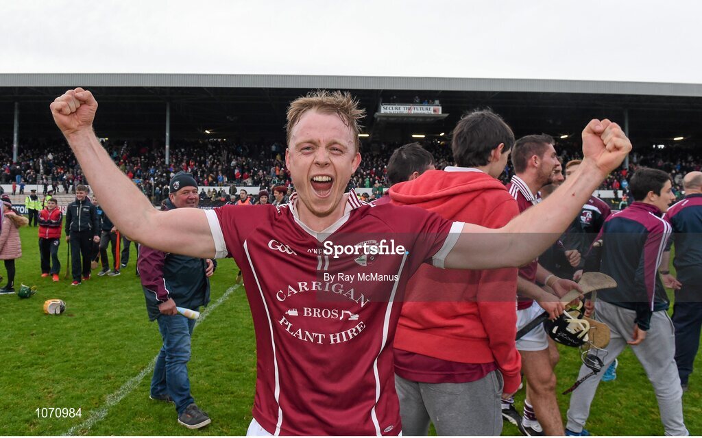 25 October 2015; The Clara captain Keith Hogan celebrates after the game. St. Canice's Credit Union Kilkenny County Senior Hurling Championship Final, Clara v O'Loughlin Gaels. Nowlan Park, Kilkenny. Picture credit: Ray McManus / SPORTSFILE