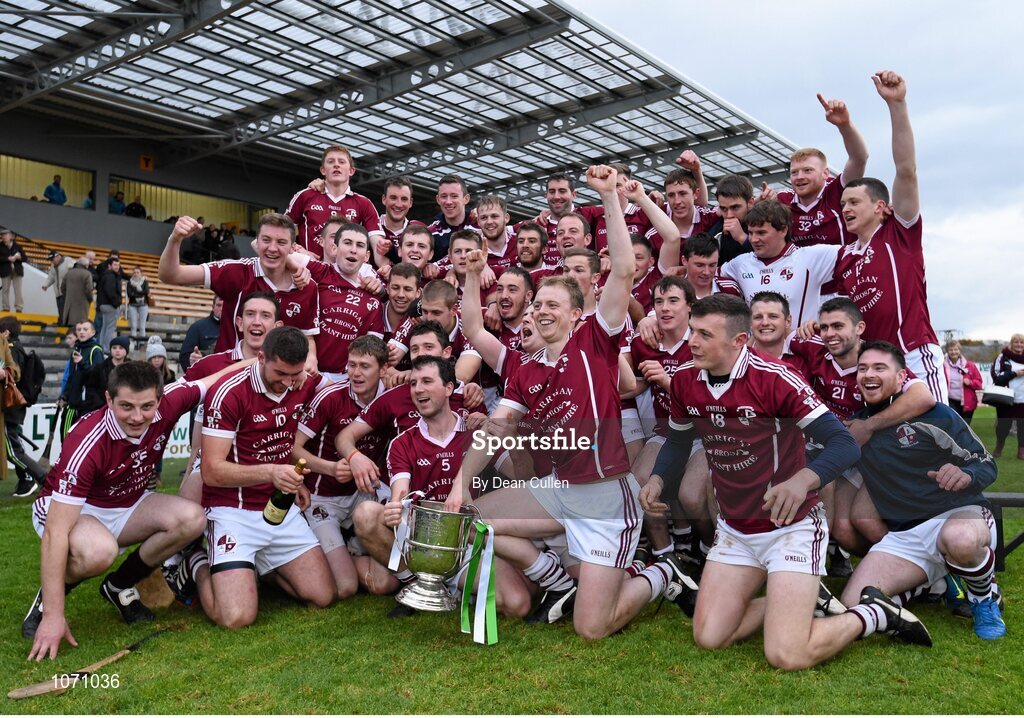 25 October 2015; The Clara players celebrate with the cup. St. Canice's Credit Union Kilkenny County Senior Hurling Championship Final, Clara GAA v O'Loughlin Gaels GAA Club. Nowlan Park, Kilkenny. Picture credit: Dean Cullen / SPORTSFILE