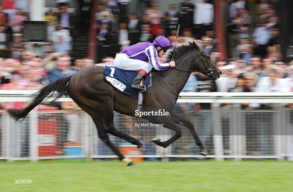 28 June 2009; Alfred Nobel, with Johnny Murtagh up, on their way to winning the Netjets Railway Stakes. Irish Derby Festival - Sunday, Curragh Racecourse, Co. Kildare. Picture credit: Matt Browne / SPORTSFILE