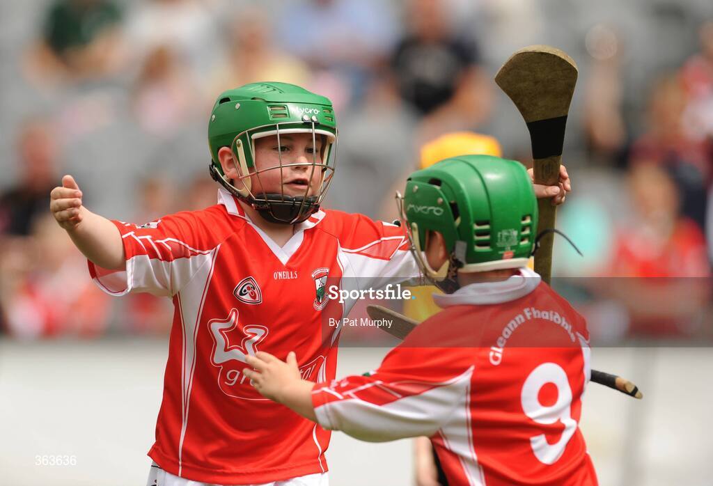 1 July 2009; Charlie Cruise, Glenealy, Co. Wicklow, celebrates his goal against Pilltown, Co. Kilkenny, with team-mate Cian O'Neill, 9, during the Leinster GAA Go Games ‘Play & Stay with the GAA’ activity day. Croke Park, Dublin. Picture credit: Pat Murphy / SPORTSFILE