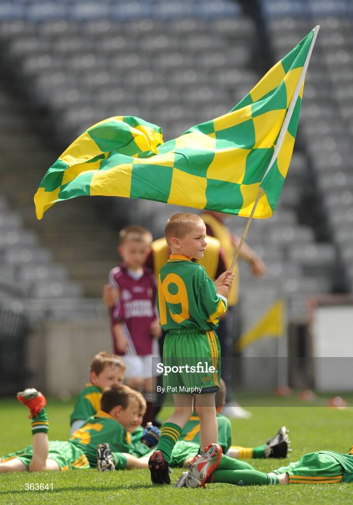 1 July 2009; Seven-year-old Marcus Blagriffe, Tubberclare, Co. Westmeath, shows his support for his team-mates during the Leinster GAA Go Games ‘Play & Stay with the GAA’ activity day. Croke Park, Dublin. Picture credit: Pat Murphy / SPORTSFILE