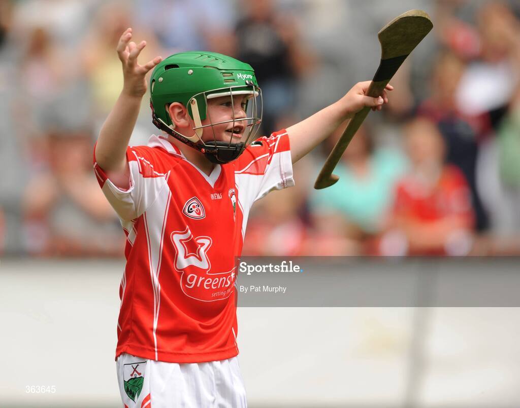 1 July 2009; Charlie Cruise, Glenealy, Co. Wicklow, celebrates his goal against Pilltown, Co. Kilkenny, during the Leinster GAA Go Games ‘Play & Stay with the GAA’ activity day. Croke Park, Dublin. Picture credit: Pat Murphy / SPORTSFILE