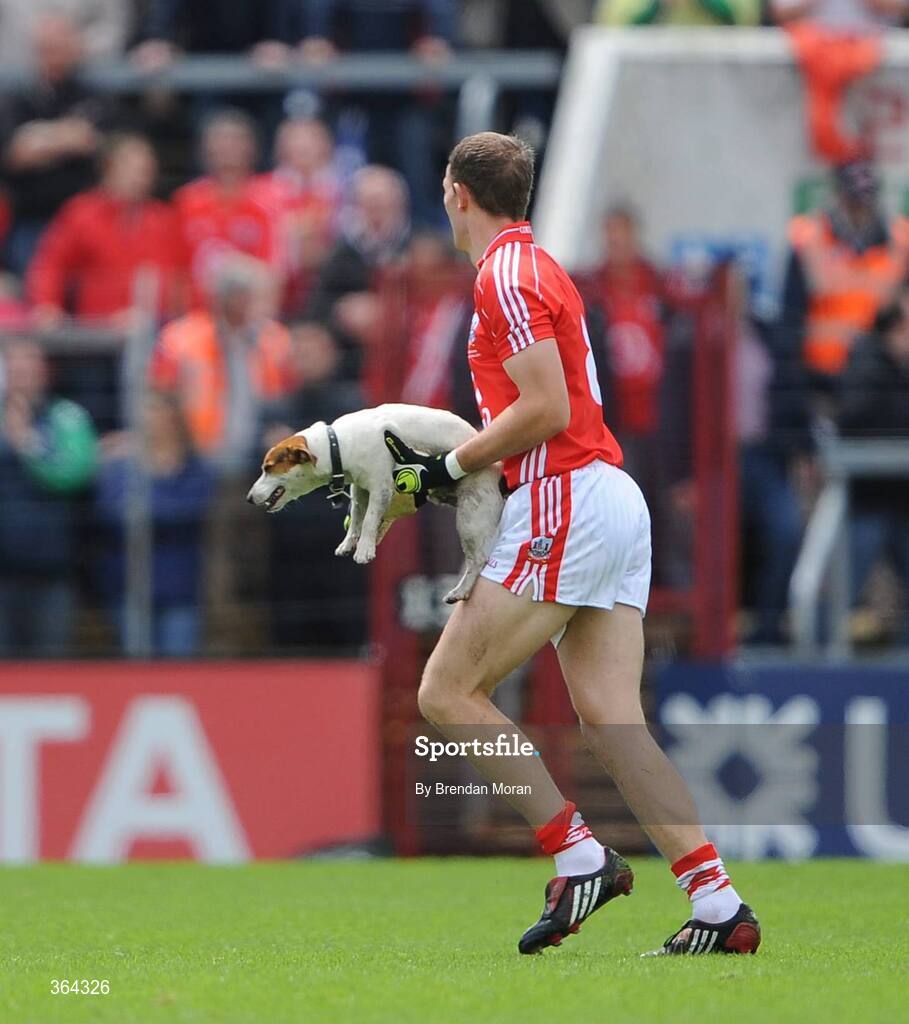 5 July 2009; Cork's Alan O'Connor removes a stray dog from the pitch during the game. GAA Football Munster Senior Championship Final, Limerick v Cork, Pairc Ui Chaoimh, Cork. Picture credit: Brendan Moran / SPORTSFILE