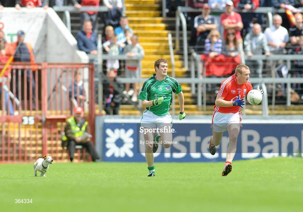 5 July 2009; Ger Spillane, Cork, in action against Ian Ryan, Limerick, closely followed by a stray dog. GAA Football Munster Senior Championship Final, Limerick v Cork, Pairc Ui Chaoimh, Cork. Picture credit: Diarmuid Greene / SPORTSFILE