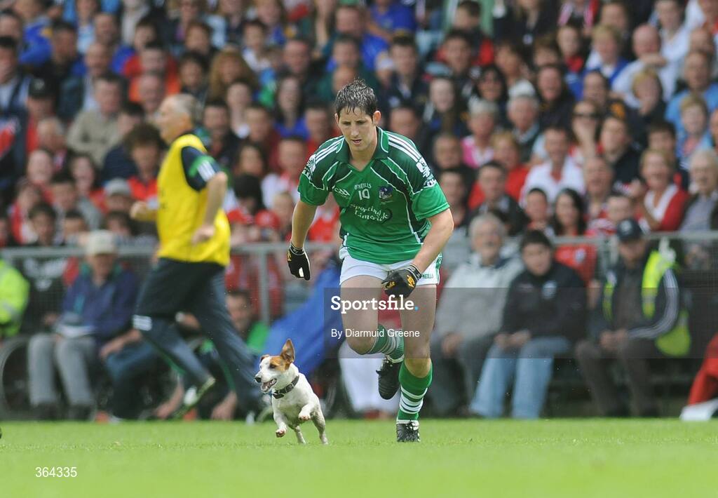 5 July 2009; Padraig Browne, Limerick, chases after a stray dog on the pitch. GAA Football Munster Senior Championship Final, Limerick v Cork, Pairc Ui Chaoimh, Cork. Picture credit: Diarmuid Greene / SPORTSFILE