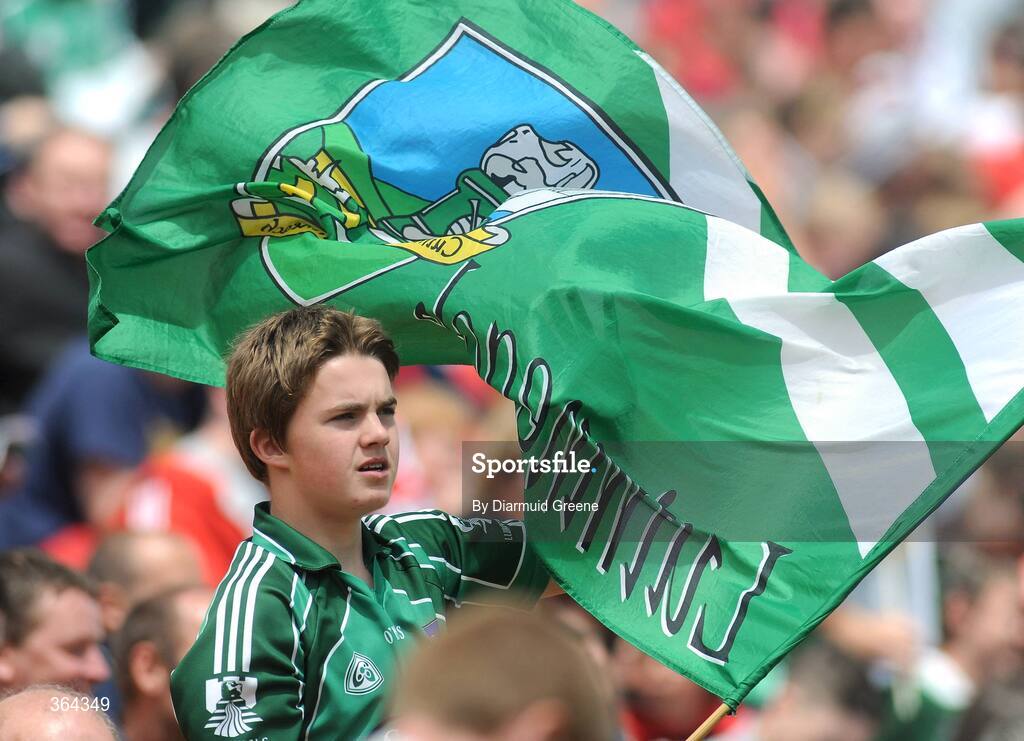 5 July 2009; Limerick supporter Jack O'Connell, from Fedamore, Co. Limerick, flies his flag as the teams leave the field at half time. GAA Football Munster Senior Championship Final, Limerick v Cork, Pairc Ui Chaoimh, Cork. Picture credit: Diarmuid Greene / SPORTSFILE