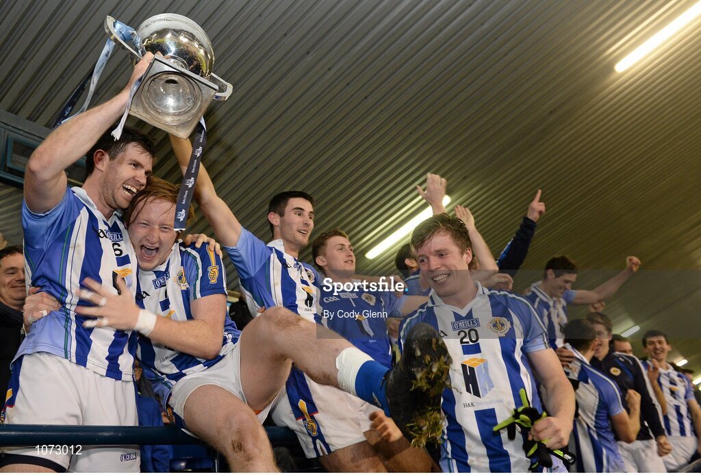 1 November 2015; Ballyboden St Endas captain Darragh Nelson lifts the cup alongside team-mate Darren O'Reilly. Dublin County Senior Football Championship Final, St Vincents GAA v Ballyboden St Endas. Parnell Park, Donnycarney, Dublin. Picture credit: Cody Glenn / SPORTSFILE