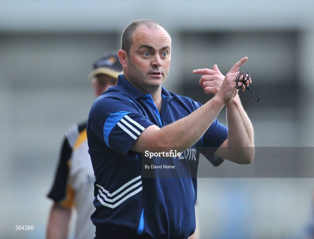 5 July 2009; Dublin manager Anthony Daly during the game. GAA Hurling Leinster Senior Championship Final, Kilkenny v Dublin, Croke Park, Dublin. Picture credit: David Maher / SPORTSFILE