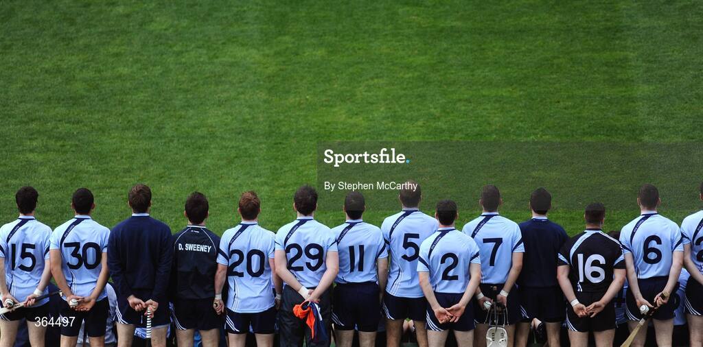 5 July 2009; The Dublin squad have their squad picture taken ahead of the game. GAA Hurling Leinster Senior Championship Final, Kilkenny v Dublin, Croke Park, Dublin. Picture credit: Stephen McCarthy / SPORTSFILE