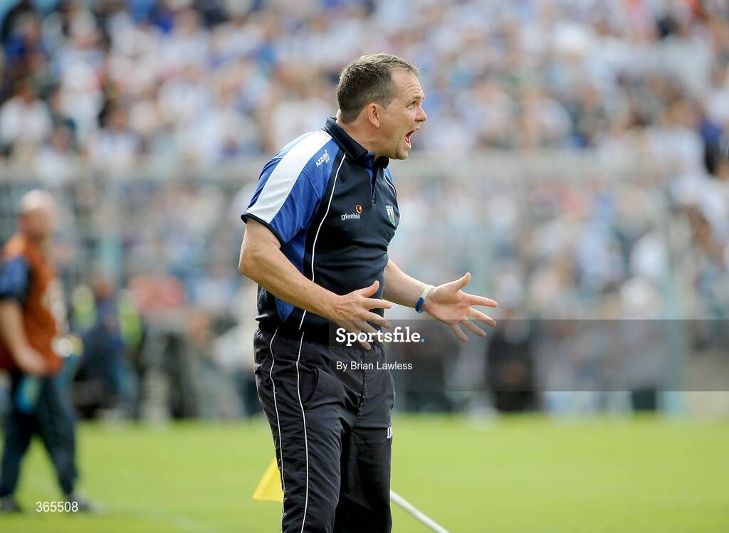 12 July 2009; Waterford manager Davy Fitzgerald in the final minutes of the game. GAA Hurling Munster Senior Championship Final, Tipperary v Waterford, Semple Stadium, Thurles, Co. Tipperary. Picture credit: Brian Lawless / SPORTSFILE