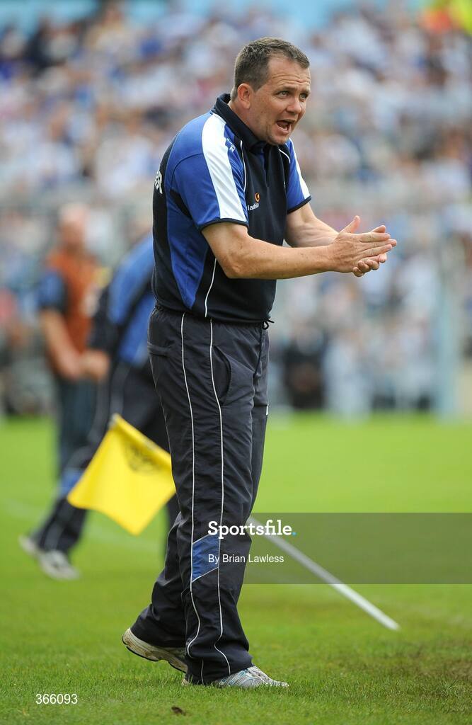 12 July 2009; Waterford manager Davy Fitzgerald. GAA Hurling Munster Senior Championship Final, Tipperary v Waterford, Semple Stadium, Thurles, Co. Tipperary. Picture credit: Brian Lawless / SPORTSFILE