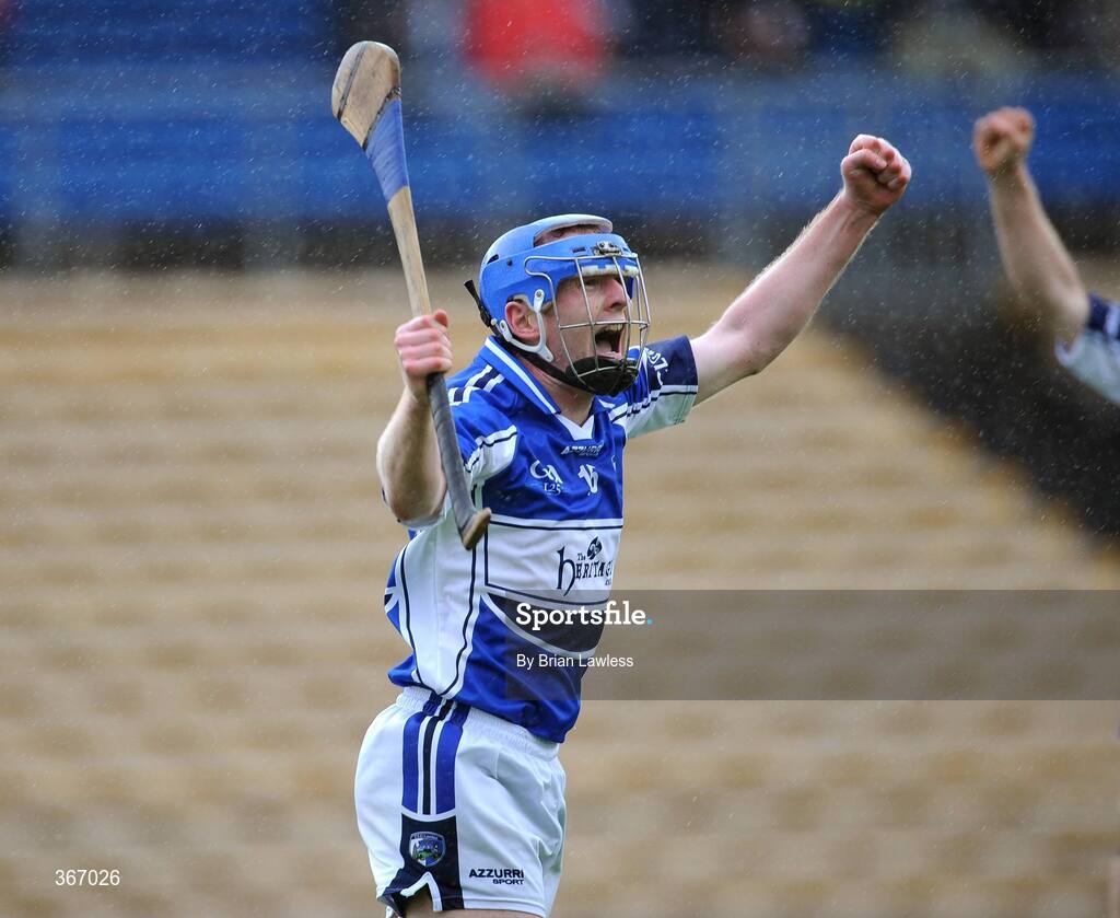 18 July 2009; Eoin Costelloe, Laois, celebrates after scoring his side's first goal. GAA All-Ireland Senior Hurling Championship, Phase 3, Laois v Limerick, Semple Stadium, Thurles, Co. Tipperary. Picture credit: Brian Lawless / SPORTSFILE