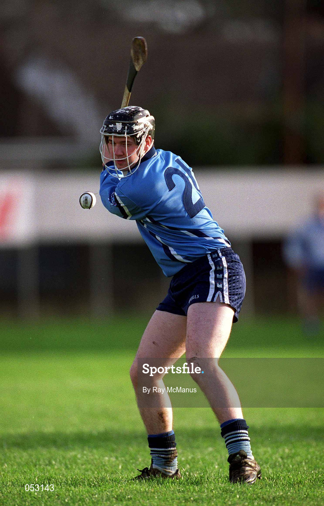 1 January 2001; Paul Meehan of Dublin during the Hurling Challenge Match between Blue Stars and Dublin at Páirc de Burca in Dublin. Photo by Ray McManus/Sportsfile
