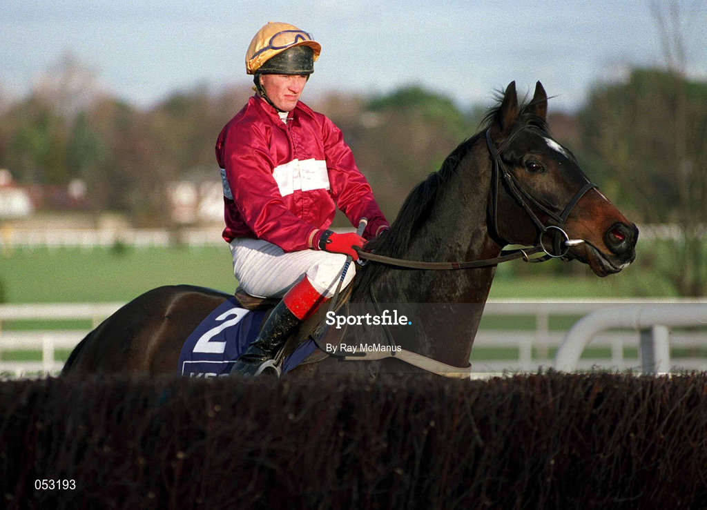 26 December 1999; Quinze, with Paul Carberry up, inspects a hurdle ahead of the Denny Gold Medal Novice Chase on day one of the Leopardstown Christmas Festival at Leopardstown racecourse in Dublin. Photo by Ray McManus/Sportsfile