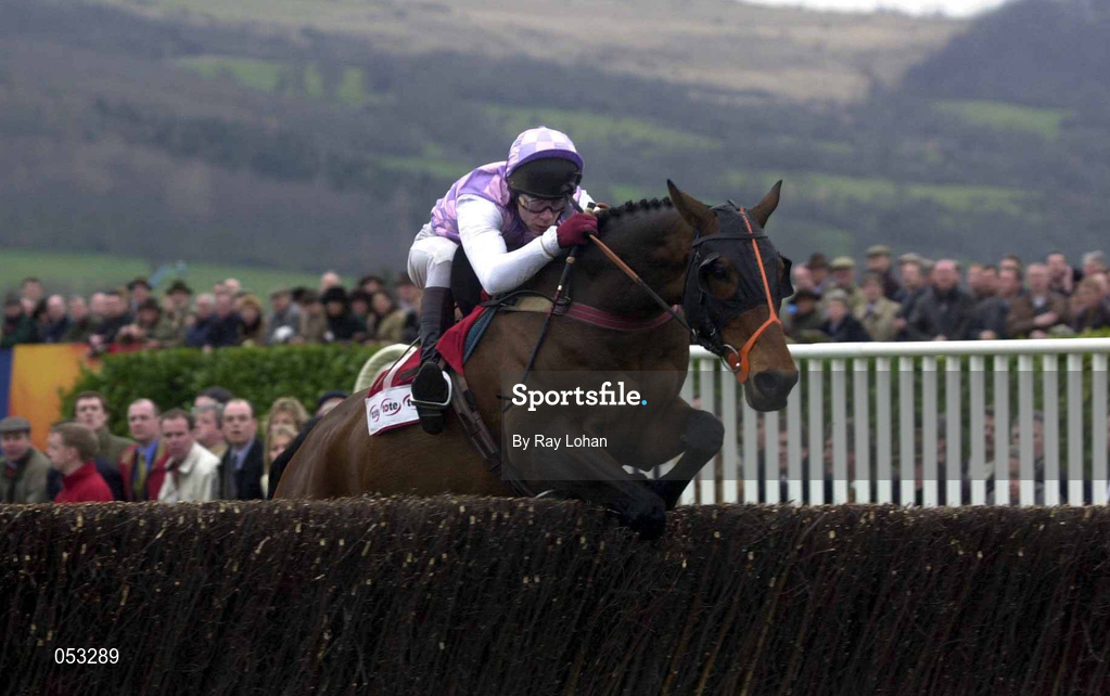 16 March 2000; See More Business, with Mick Fitzgerald up, leads the field round during the Tote Cheltenham Gold Cup Chase Showcase Race on Day Three of the Cheltenham Racing Festival at Prestbury Park in Cheltenham, England. Photo by Ray Lohan/Sportsfile