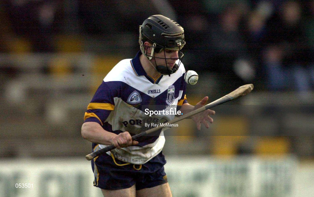 26 November 2000; Brendan Murphy of UCD during the AIB Leinster Senior Hurling Championship Final between Graigue-Ballycallan and University College Dublin at Nowlan Park in Kilkenny. Photo by Ray McManus/Sportsfile