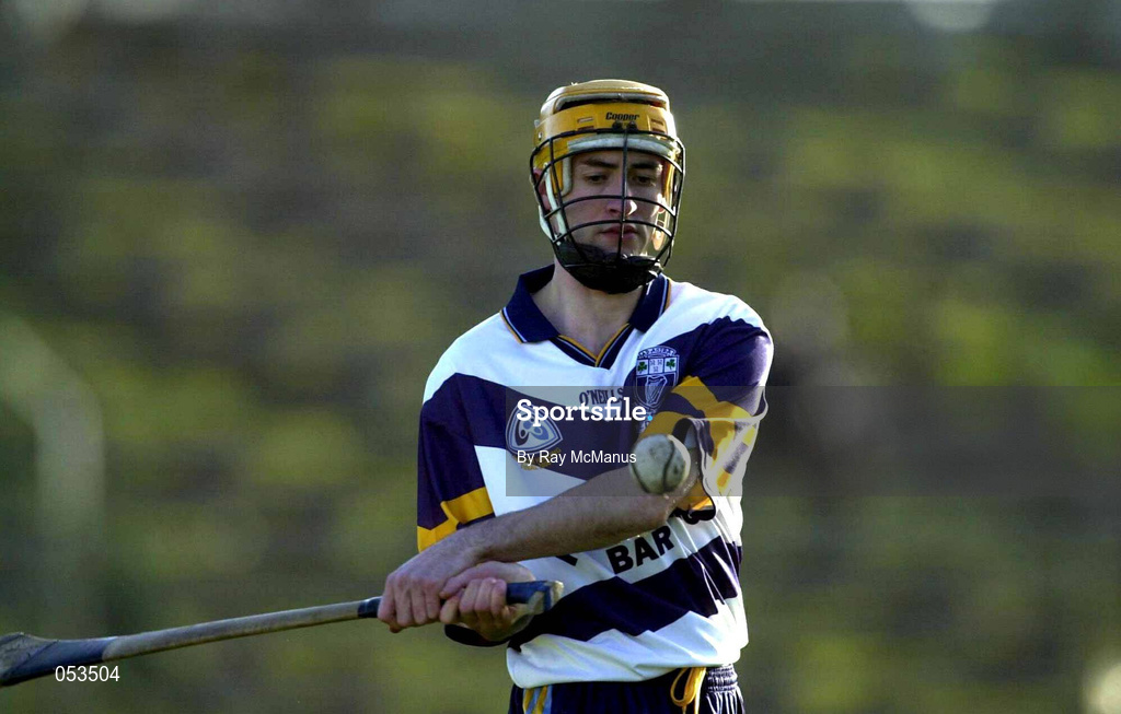 26 November 2000; Brian Walton of UCD during the AIB Leinster Senior Hurling Championship Final between Graigue-Ballycallan and University College Dublin at Nowlan Park in Kilkenny. Photo by Ray McManus/Sportsfile