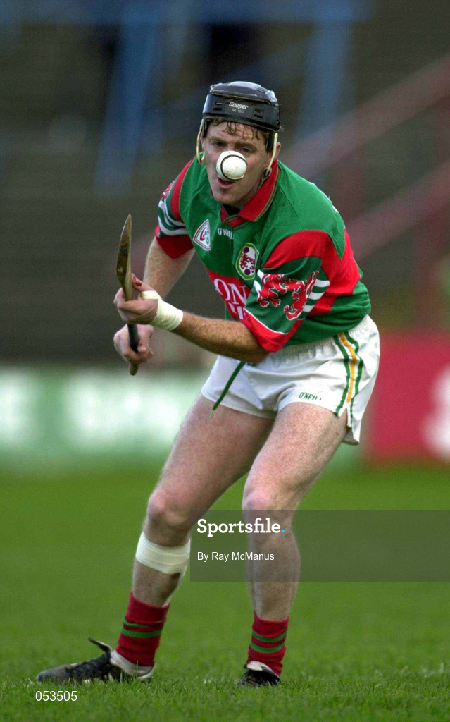4 November 2000; Brian Whelahan of Birr during the AIB Leinster Club Hurling Championship Quarter-Final match between Castletown and Birr at O'Moore Park in Portlaoise, Laois. Photo by Ray McManus/Sportsfile