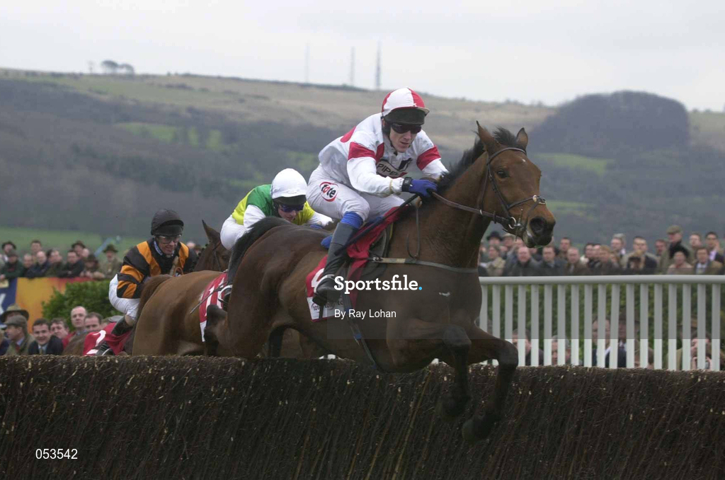 16 March 2000; Gloria Victis with AP McCoy up, leads the field first time around during the Tote Cheltenham Gold Cup Chase Showcase Race on Day Three of the Cheltenham Racing Festival at Prestbury Park in Cheltenham, England. Photo by Ray Lohan/Sportsfile