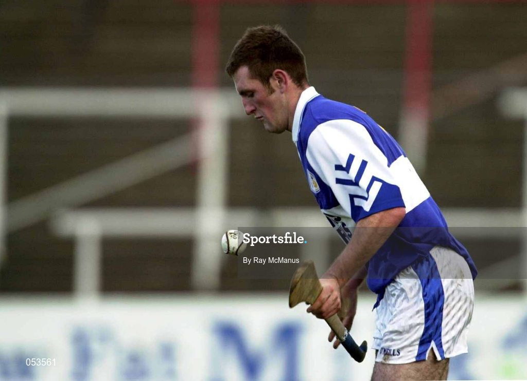 4 November 2000; John Palmer of Castletown  during the AIB Leinster Club Hurling Championship Quarter-Final match between Castletown and Birr at O'Moore Park in Portlaoise, Laois. Photo by Ray McManus/Sportsfile
