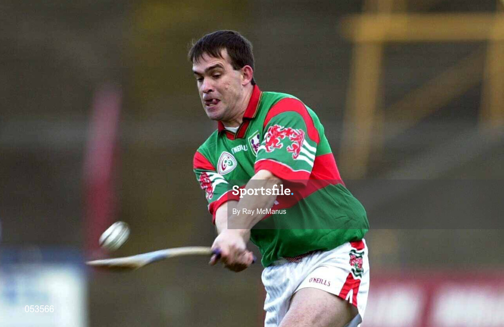 4 November 2000; Johnny Pilkington of Birr  during the AIB Leinster Club Hurling Championship Quarter-Final match between Castletown and Birr at O'Moore Park in Portlaoise, Laois. Photo by Ray McManus/Sportsfile