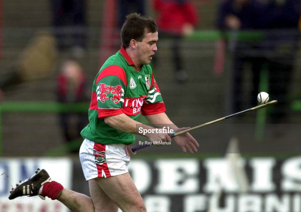 4 November 2000; Johnny Pilkington of Birr  during the AIB Leinster Club Hurling Championship Quarter-Final match between Castletown and Birr at O'Moore Park in Portlaoise, Laois. Photo by Ray McManus/Sportsfile
