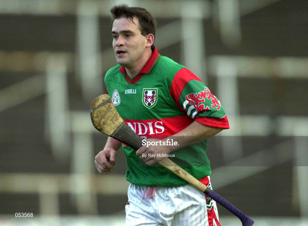 4 November 2000; Johnny Pilkington of Birr  during the AIB Leinster Club Hurling Championship Quarter-Final match between Castletown and Birr at O'Moore Park in Portlaoise, Laois. Photo by Ray McManus/Sportsfile