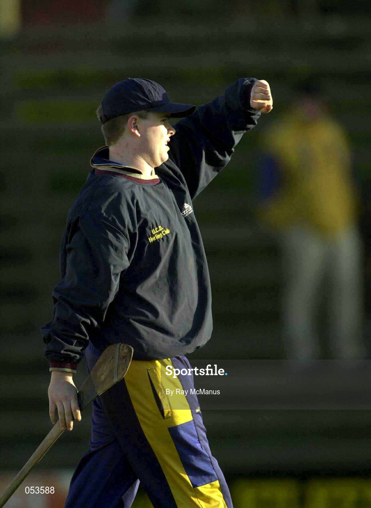 26 November 2000; Michael Lyons of UCD during the AIB Leinster Senior Hurling Championship Final between Graigue-Ballycallan and University College Dublin at Nowlan Park in Kilkenny. Photo by Ray McManus/Sportsfile