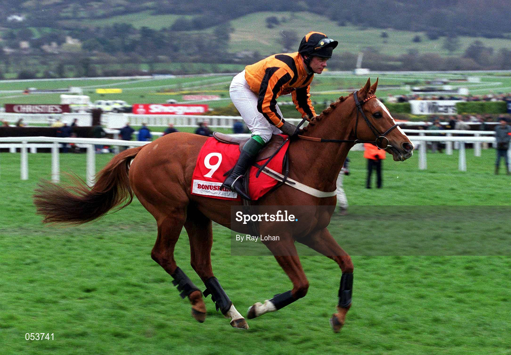 16 March 2000; Sliver Wedge, with Adrian Maguire up, canters to the start of the Bonusprint Stayers' Hurdle on Day Three of the Cheltenham Racing Festival at Prestbury Park in Cheltenham, England. Photo by Ray Lohan/Sportsfile
