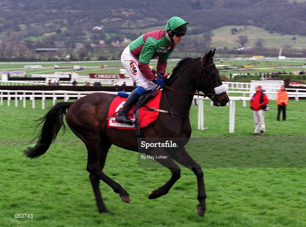 16 March 2000; Galant Moss, with A P McCoy up, canters to the start of the Bonusprint Stayers' Hurdle on Day Three of the Cheltenham Racing Festival at Prestbury Park in Cheltenham, England. Photo by Ray Lohan/Sportsfile