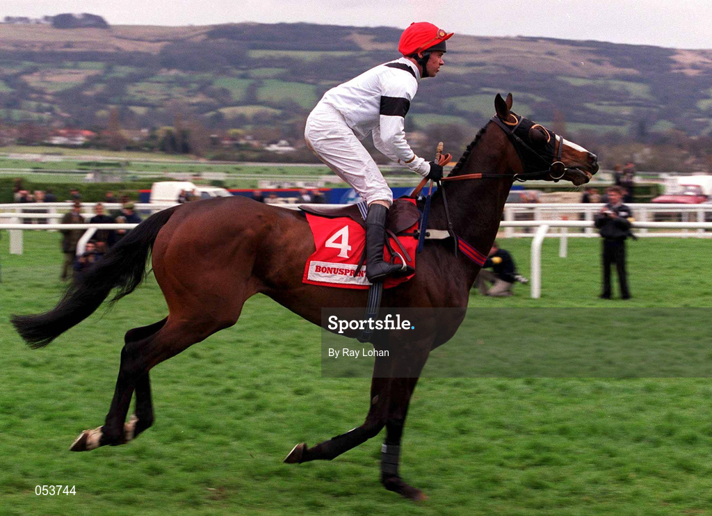 16 March 2000; Count Campioni, with Timmy Murphy up, canters to the start of the Bonusprint Stayers' Hurdle on Day Three of the Cheltenham Racing Festival at Prestbury Park in Cheltenham, England. Photo by Ray Lohan/Sportsfile