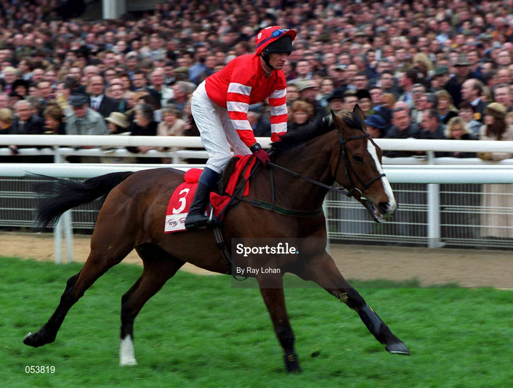 16 March 2000; Florida Pearl, with Paul Carberry up, canters to the start of the Tote Cheltenham Gold Cup Chase Showcase Race on Day Three of the Cheltenham Racing Festival at Prestbury Park in Cheltenham, England. Photo by Ray Lohan/Sportsfile