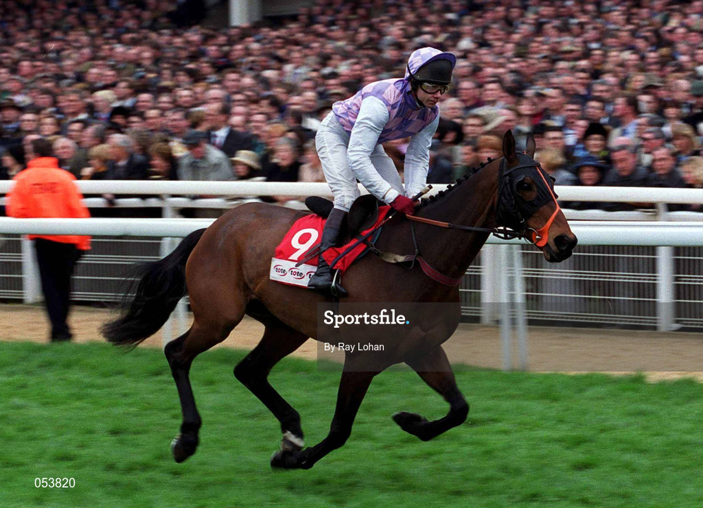 16 March 2000; See More Business, with Mick Fitgerald up, canters to the start of the Tote Cheltenham Gold Cup Chase Showcase Race on Day Three of the Cheltenham Racing Festival at Prestbury Park in Cheltenham, England. Photo by Ray Lohan/Sportsfile