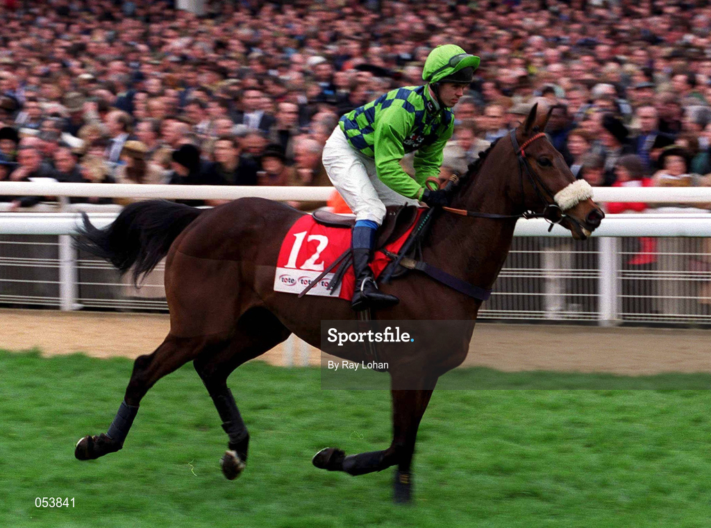 16 March 2000; Tullmurry Toff, with Graham Lee up, canters to the start of the Tote Cheltenham Gold Cup Chase Showcase Race on Day Three of the Cheltenham Racing Festival at Prestbury Park in Cheltenham, England. Photo by Ray Lohan/Sportsfile
