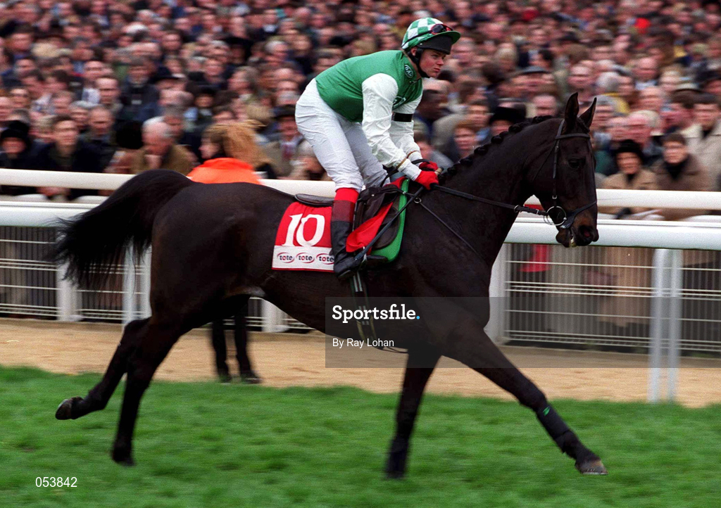 16 March 2000; Strong Promise, with Robert Thornton up, canters to the start of the Tote Cheltenham Gold Cup Chase on Day Three of the Cheltenham Racing Festival at Prestbury Park in Cheltenham, England. Photo by Ray Lohan/Sportsfile