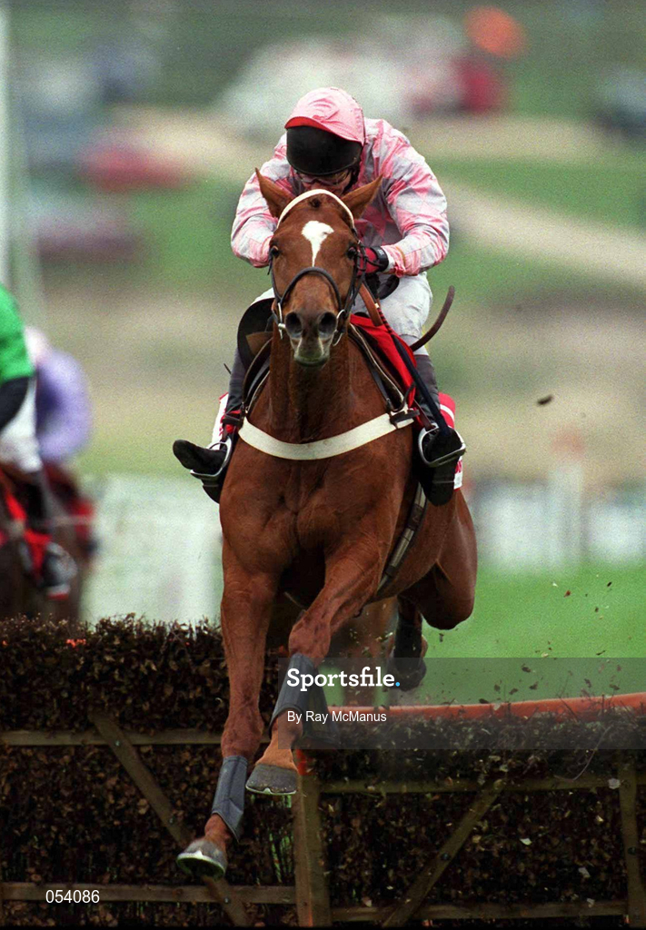 16 March 2000; Bacchanal, with Mick Fitzgerald up, clears the last on their way to winning the Bonusprint Stayers' Hurdle on Day Three of the Cheltenham Racing Festival at Prestbury Park in Cheltenham, England. Photo by Ray McManus/Sportsfile