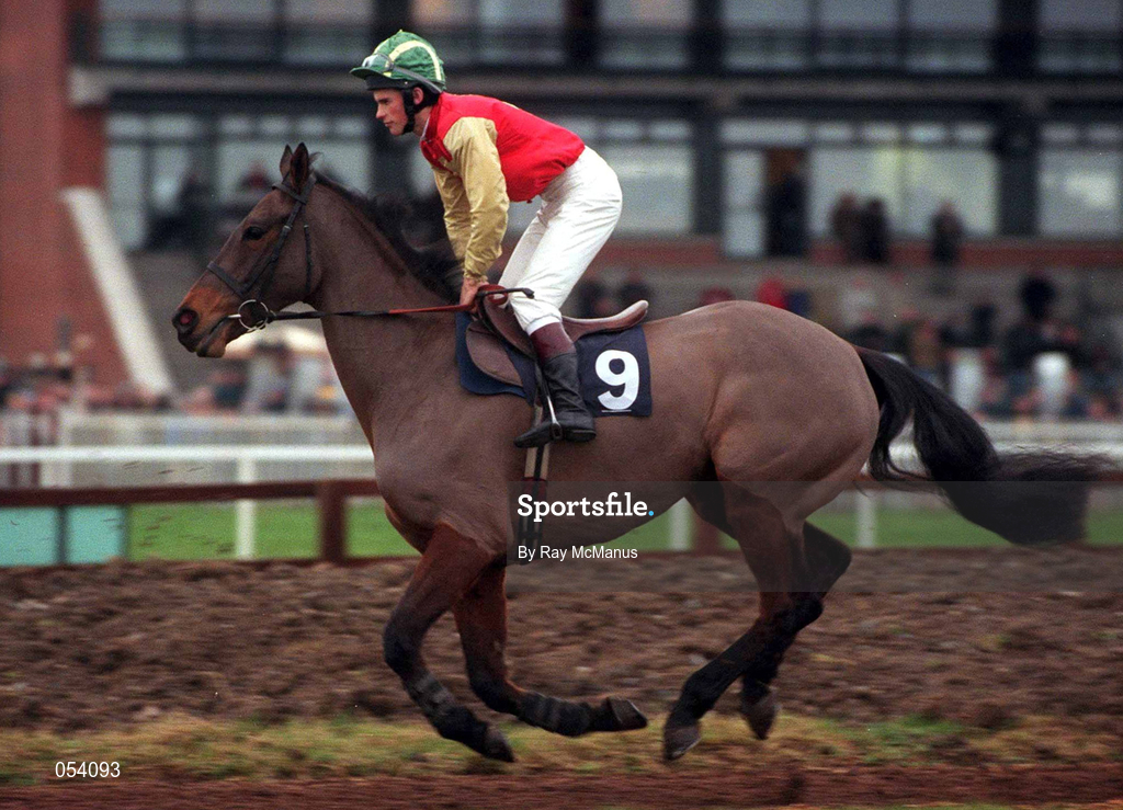16 January 2000; Bobbyjo, with Paul Carberry up, canters to the start of the Teal Extended Handicap Hurdle at Fairyhouse Racecourse in Meath. Photo by Ray McManus/Sportsfile