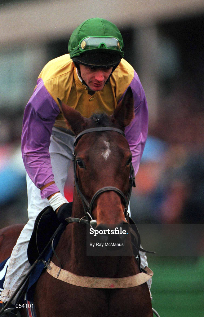 26 December 2000; Monty's Fancy, with David Evans up, make their way to the start ahead of the Move-Over-Butter Ext. Handicap Hurdle during Day 1 of the Leopardstown Christmas Festival at Leopardstown Racecourse in Dublin. Photo by Ray McManus/Sportsfile