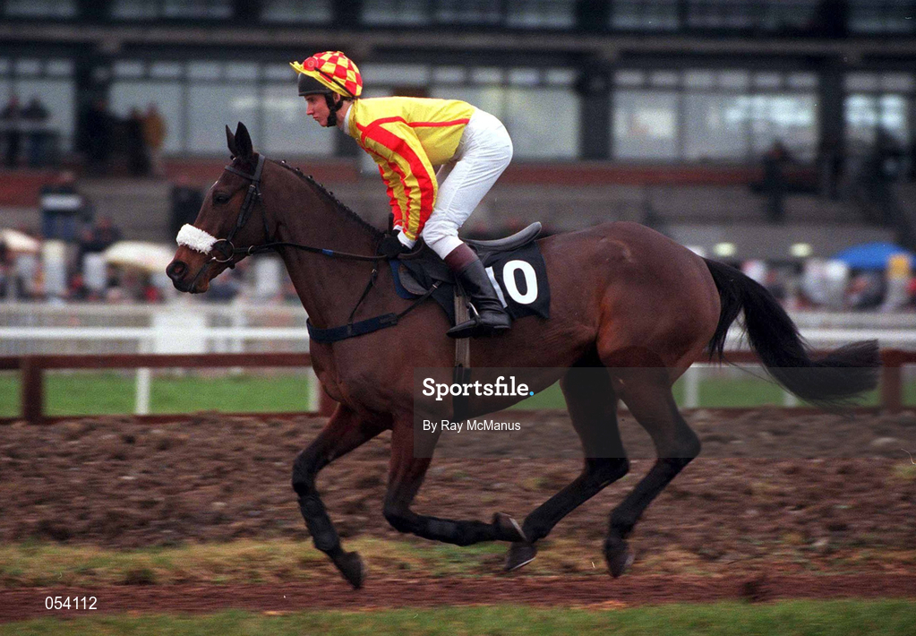 16 January 2000; King's Valley, with Neil Mulholland up, canters to the start of the Teal Extended Handicap Hurdle at Fairyhouse Racecourse in Meath. Photo by Ray McManus/Sportsfile