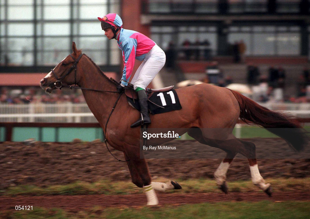 16 January 2000; Moral Support, with Adrian Maguire up, canters to the start of the Teal Extended Handicap Hurdle at Fairyhouse Racecourse in Meath. Photo by Ray McManus/Sportsfile